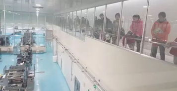 亲子一日游 黑莓工厂参访与田园乐，好果田里我们嗨起来！