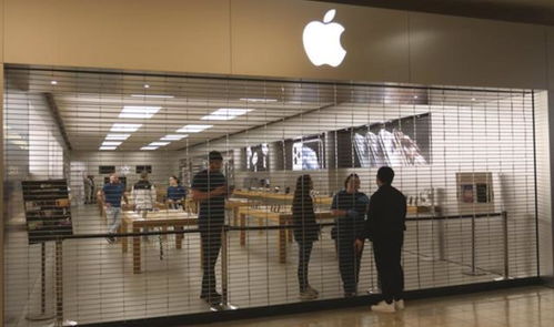 苹果供应链迁移遇阻 印度工厂挑战与中国市场波动下的库克抉择