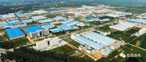 阜阳四个农业项目跻身国家级榜单，地方特色产业发展再添新动力